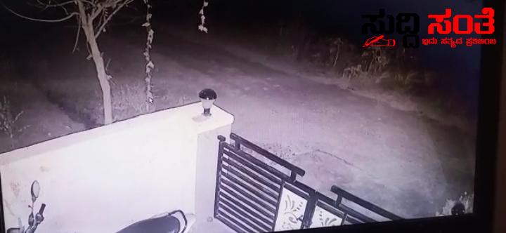 ಧಾರವಾಡದಲ್ಲಿ ಮತ್ತೆ ಕಾಣಿಸಿಕೊಂಡ ಚಿರತೆ ಹೋಲುವ 3 ಪ್ರಾಣಿಗಳು CC Tv ಯಲ್ಲಿ ಮೂರು ಪ್ರಾಣಿಗಳು ಸೆರೆ….. ಧಾರವಾಡದಲ್ಲಿ ಮತ್ತೆ ಕಾಣಿಸಿಕೊಂಡ ಚಿರತೆ ಹೋಲುವ 3 ಪ್ರಾಣಿಗಳು CC Tv ಯಲ್ಲಿ ಮೂರು ಪ್ರಾಣಿಗಳು ಸೆರೆ…..