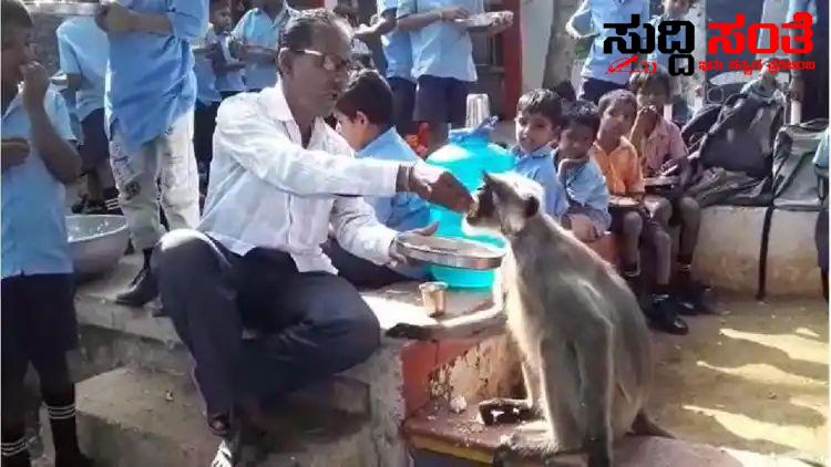 ಶಾಲೆಗೆ ಬಂದ ಮಂಗನಿಗೆ ಊಟ ಮಾಡಿಸಿದ ಮುಖ್ಯಶಿಕ್ಷಕ – ಮಕ್ಕಳೊಂದಿಗೆ ಕುಳಿತುಕೊಂಡು ಬಿಸಿಯೂಟ ಸವಿದ ಮಂಗ ಶಾಲೆಗೆ ಬಂದ ಮಂಗನಿಗೆ ಊಟ ಮಾಡಿಸಿದ ಮುಖ್ಯಶಿಕ್ಷಕ – ಮಕ್ಕಳೊಂದಿಗೆ ಕುಳಿತುಕೊಂಡು ಬಿಸಿಯೂಟ ಸವಿದ ಮಂಗ 