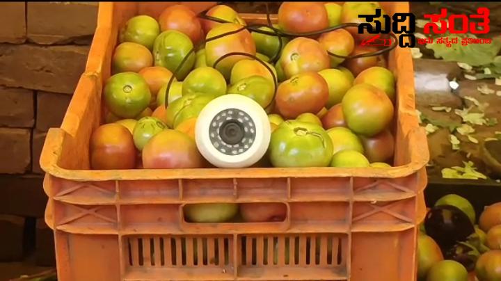 ÇC Tv ಭದ್ರತೆಯಲ್ಲಿ ಟೊಮ್ಯಾಟೋ ವ್ಯಾಪಾರ – ರಸ್ತೆ ಬದಿಯಲ್ಲಿ ಕುಳಿತುಕೊಂಡು ಸಿಸಿ ಟಿವಿ ಯ ಭದ್ರತೆಯಲ್ಲಿ ವ್ಯಾಪಾರ….. ÇC Tv ಭದ್ರತೆಯಲ್ಲಿ ಟೊಮ್ಯಾಟೋ ವ್ಯಾಪಾರ – ರಸ್ತೆ ಬದಿಯಲ್ಲಿ ಕುಳಿತುಕೊಂಡು ಸಿಸಿ ಟಿವಿ ಯ ಭದ್ರತೆಯಲ್ಲಿ ವ್ಯಾಪಾರ…..