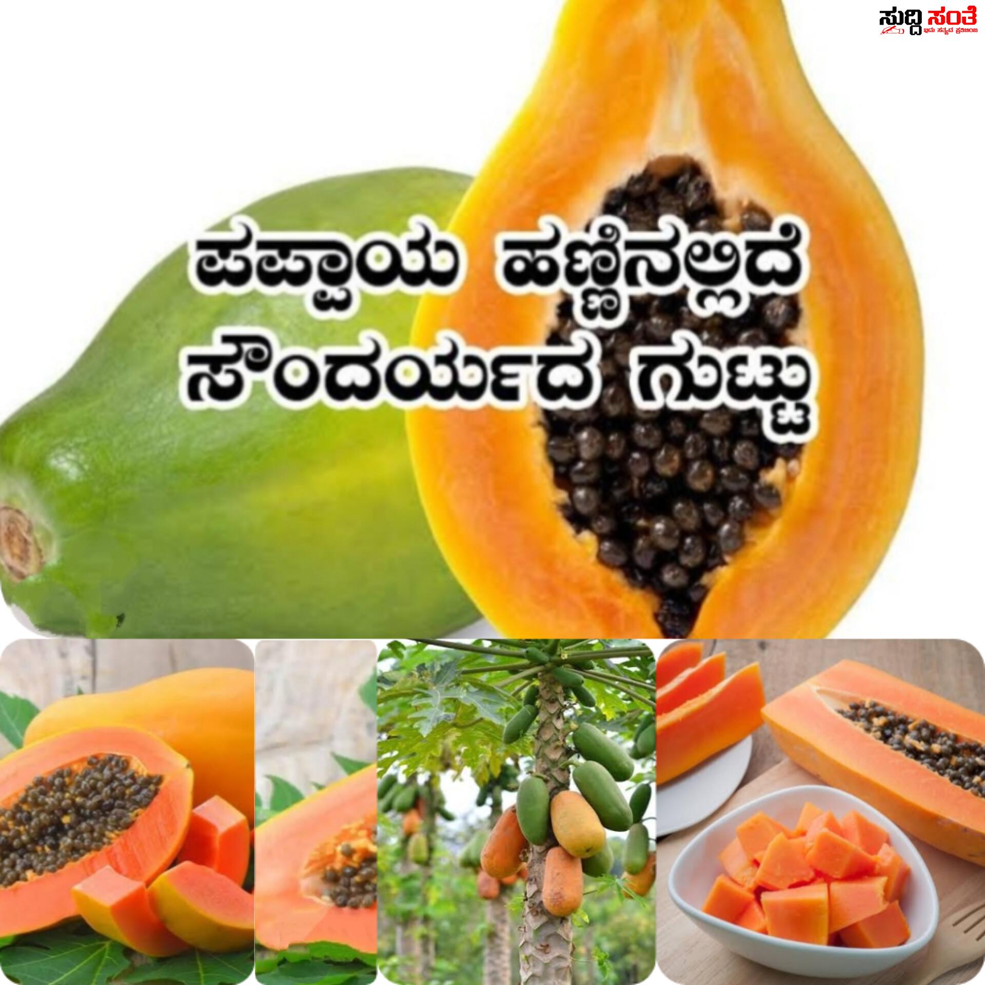 ಪಪ್ಪಾಯಿ ಹಣ್ಣಿನಿಂದ ಆರೋಗ್ಯಕ್ಕೆ ಎಷ್ಟೇಲ್ಲಾ ಲಾಭವಿಗೆ ಗೊತ್ತಾ – ಯಾರು ಯಾರು ತಿನ್ನಬೇಕು ಯಾರು ತಿನ್ನಬಾರದು ನೋಡಿ ತಿಳಿದುಕೊಳ್ಳಿ ಸುದ್ದಿ ಸಂತೆ ಯಲ್ಲಿ ಒಂದಿಷ್ಟು ಮಾಹಿತಿ….. ಪಪ್ಪಾಯಿ ಹಣ್ಣಿನಿಂದ ಆರೋಗ್ಯಕ್ಕೆ ಎಷ್ಟೇಲ್ಲಾ ಲಾಭವಿಗೆ ಗೊತ್ತಾ – ಯಾರು ಯಾರು ತಿನ್ನಬೇಕು ಯಾರು ತಿನ್ನಬಾರದು ನೋಡಿ ತಿಳಿದುಕೊಳ್ಳಿ ಸುದ್ದಿ ಸಂತೆ ಯಲ್ಲಿ ಒಂದಿಷ್ಟು ಮಾಹಿತಿ…..