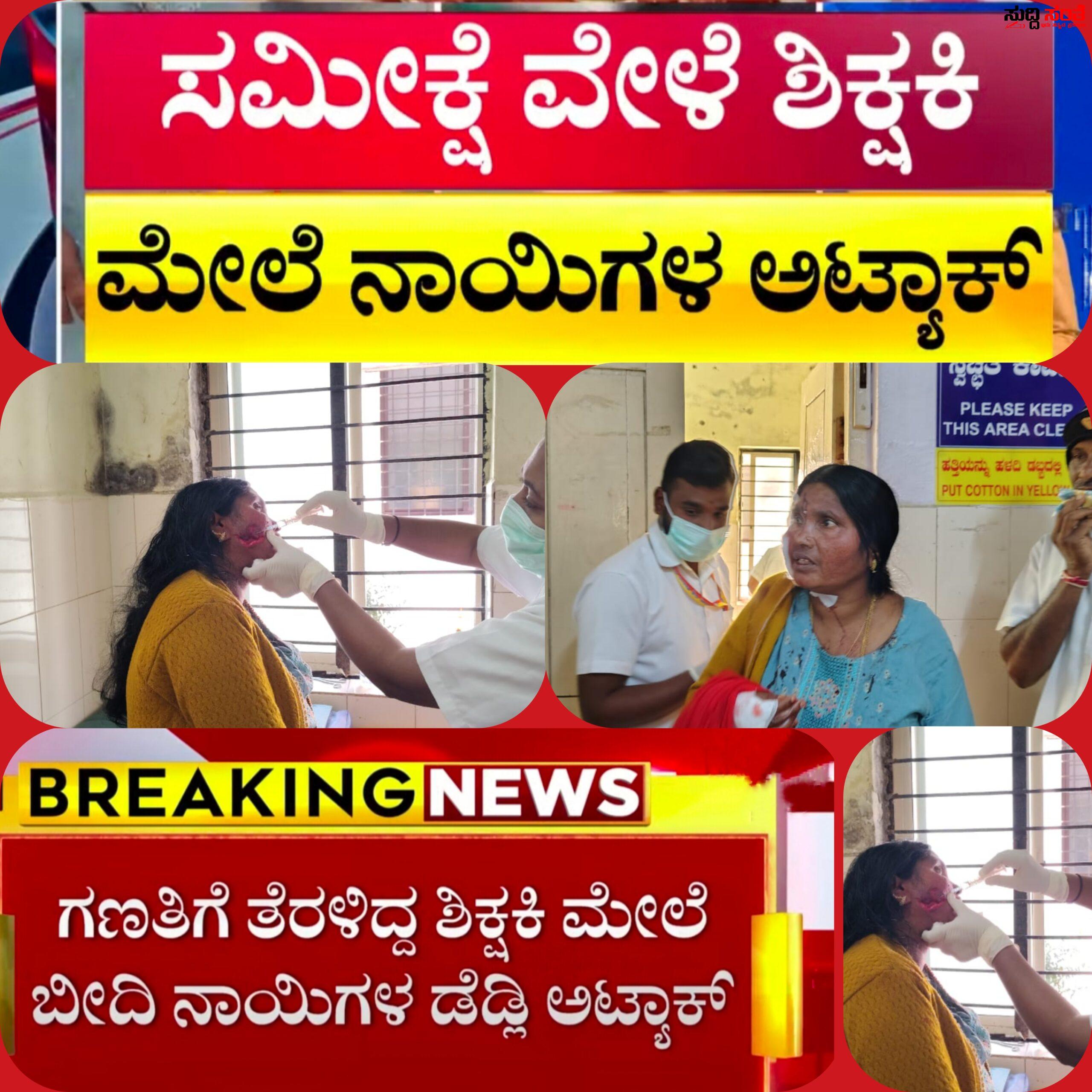 ಸಮೀಕ್ಷೆಯಲ್ಲಿ ಶಿಕ್ಷಕಿಯ ಮೇಲೆ ಬೀದಿ ನಾಯಿ ಡೆಡ್ಲಿ ಅಟ್ಯಾಕ್ – ಒತ್ತಡದ ನಡುವೆ ರಾಜ್ಯದಲ್ಲಿ ಶಿಕ್ಷಕರ ಪರಸ್ಥಿತಿ ಹೇಗಿದೆ ನೋಡಿ…..ಇದ್ದೀರಾ ಸಂಘಟನೆಯ ಮುಖಂಡರೇ ಜನಪ್ರತಿನಿಧಿಗಳೇ…..