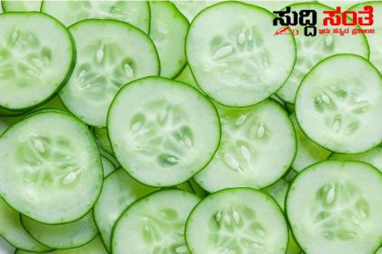 ಸೌತೆಕಾಯಿ ತಿನ್ನುವುದು ಆರೋಗ್ಯಕ್ಕೆ ಒಳ್ಳೇಯದು ಯಾವ ಸಮಯದಲ್ಲಿ ತಿನ್ನಬೇಕು ಗೊತ್ತಾ – ಅಪ್ಪಿ ತಪ್ಪಿಯೂ ದಿನದ ಈ ಒಂದು ಸಮಯದಲ್ಲಿ ಸೌತೆಯಾಯಿ ತಿನ್ನಬೇಡಿ