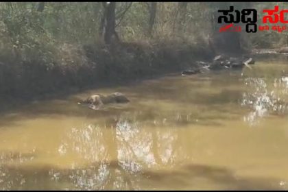 ಬೆಳ್ಳಂ ಬೆಳಿಗ್ಗೆ ಹುಬ್ಬಳ್ಳಿಯಲ್ಲಿ ಕೆರೆಯಲ್ಲಿ ಅಪರಿಚಿತ ಶವ ಪತ್ತೆ  – ಪರಿಶೀಲನೆ ಮಾಡುತ್ತಿರುವ ಪೊಲೀಸರು…..