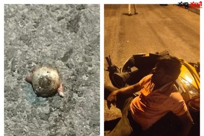 ಅಪಘಾತದ ರಭಸಕ್ಕೆ ರಸ್ತೆಯಲ್ಲಿ ಬಿದ್ದ ಕಣ್ಣೀನ ಗುಡ್ಡೆ – ಭೀಕರ ಅಪಘಾತಕ್ಕೆ ಬೈಕ್ ಸವಾರನ ಕಣ್ಣು ಢಮಾರ್…..