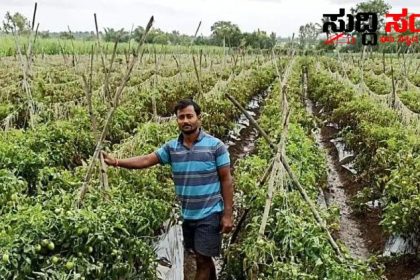 20 ಗುಂಟೆಯಲ್ಲಿ ಟೊಮ್ಯಾಟೊ ಬೆಳೆದು 15 ಲಕ್ಷ ಪಡೆದ ಪದವೀಧರ – ನಿರುದ್ಯೋಗಿ ಗಳಿಗೆ ಮಾದರಿಯಾದ ಪದವೀಧರ ಮಹೇಶ್…..
