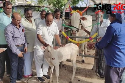 ಕಾಲುಬಾಯಿ ರೋಗ ಲಸಿಕಾ ಕಾರ್ಯಕ್ಕೆ ಚಾಲನೆ ನೀಡಿದ ಶಾಸಕ ಎನ್ ಹೆಚ್ ಕೋನರಡ್ಡಿ – ನವಲಗುಂದ ಕ್ಷೇತ್ರದ ರೈತ ಬಾಂಧವರಿಗೆ ಮತ್ತೊಂದು ಸೌಲಭ್ಯಕ್ಕೆ ಚಾಲನೆ ನೀಡಿದ ಶಾಸಕರು…..