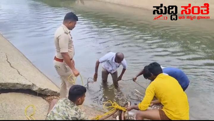 ಜಿಂಕೆಯ ಜೀವ ಉಳಿಸಿದ PSI – ನೀರಿನಲ್ಲಿ ಸಿಲುಕಿದ್ದ ಜಿಂಕೆಯ ಜೀವ ಉಳಿಸಿದ ಪೊಲೀಸ್ ಅಧಿಕಾರಿಗಳ ಕಾರ್ಯಕ್ಕೆ ಮೆಚ್ಚುಗೆ ರಕ್ಷಣೆ….. ಜಿಂಕೆಯ ಜೀವ ಉಳಿಸಿದ PSI – ನೀರಿನಲ್ಲಿ ಸಿಲುಕಿದ್ದ ಜಿಂಕೆಯ ಜೀವ ಉಳಿಸಿದ ಪೊಲೀಸ್ ಅಧಿಕಾರಿಗಳ ಕಾರ್ಯಕ್ಕೆ ಮೆಚ್ಚುಗೆ ರಕ್ಷಣೆ…..