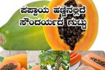 ಪಪ್ಪಾಯಿ ಹಣ್ಣಿನಿಂದ ಆರೋಗ್ಯಕ್ಕೆ ಎಷ್ಟೇಲ್ಲಾ ಲಾಭವಿಗೆ ಗೊತ್ತಾ – ಯಾರು ಯಾರು ತಿನ್ನಬೇಕು ಯಾರು ತಿನ್ನಬಾರದು ನೋಡಿ ತಿಳಿದುಕೊಳ್ಳಿ ಸುದ್ದಿ ಸಂತೆ ಯಲ್ಲಿ ಒಂದಿಷ್ಟು ಮಾಹಿತಿ…..