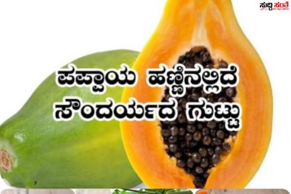 ಪಪ್ಪಾಯಿ ಹಣ್ಣಿನಿಂದ ಆರೋಗ್ಯಕ್ಕೆ ಎಷ್ಟೇಲ್ಲಾ ಲಾಭವಿಗೆ ಗೊತ್ತಾ – ಯಾರು ಯಾರು ತಿನ್ನಬೇಕು ಯಾರು ತಿನ್ನಬಾರದು ನೋಡಿ ತಿಳಿದುಕೊಳ್ಳಿ ಸುದ್ದಿ ಸಂತೆ ಯಲ್ಲಿ ಒಂದಿಷ್ಟು ಮಾಹಿತಿ…..