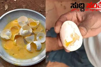 ಸರಕಾರಿ ಶಾಲೆಯಲ್ಲಿ ಕೊಳೆತ ಮೊಟ್ಟೆ ವಿತರಣೆ – ಭುಗಿಲೆದ್ದ ಆಕ್ರೋಶ ಅಸಮಧಾನ…..