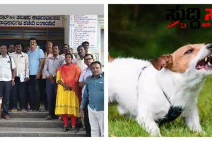 ಸಮೀಕ್ಷೆ ಯಲ್ಲಿ ಶಿಕ್ಷಕನ ಮೇಲೆ ದಾಳಿ ಮಾಡಿದ ನಾಯಿ – ತೀವ್ರವಾಗಿ ಗಾಯಗೊಂಡ ಶಿಕ್ಷಕ…..ಇದು ಶಿಕ್ಷಕರ ನರಕಯಾತನೆ ಕಥೆ…..