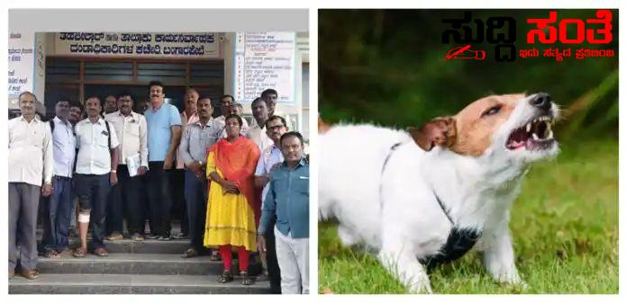 ಸಮೀಕ್ಷೆ ಯಲ್ಲಿ ಶಿಕ್ಷಕನ ಮೇಲೆ ದಾಳಿ ಮಾಡಿದ ನಾಯಿ – ತೀವ್ರವಾಗಿ ಗಾಯಗೊಂಡ ಶಿಕ್ಷಕ…..ಇದು ಶಿಕ್ಷಕರ ನರಕಯಾತನೆ ಕಥೆ…..