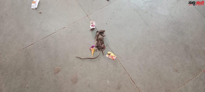 ಸತ್ತ ಇಲಿಗಳ ಕಸದ ರಾಶಿಗಳ ದರ್ಶನ ಸ್ವಚ್ಚವಾಗದ ಧಾರವಾಡ ಹೊಸ ಬಸ್ ನಿಲ್ದಾಣ – ಸೂರ್ಯ ಉದಯಿಸಿದರು ಸ್ವಚ್ಚವಾಗದ ಹೊಸ ಬಸ್ ನಿಲ್ದಾಣ ಅವ್ಯವಸ್ಥೆಯ ಆಗರವಾಗಿದೆ ನಿಲ್ದಾಣ…..